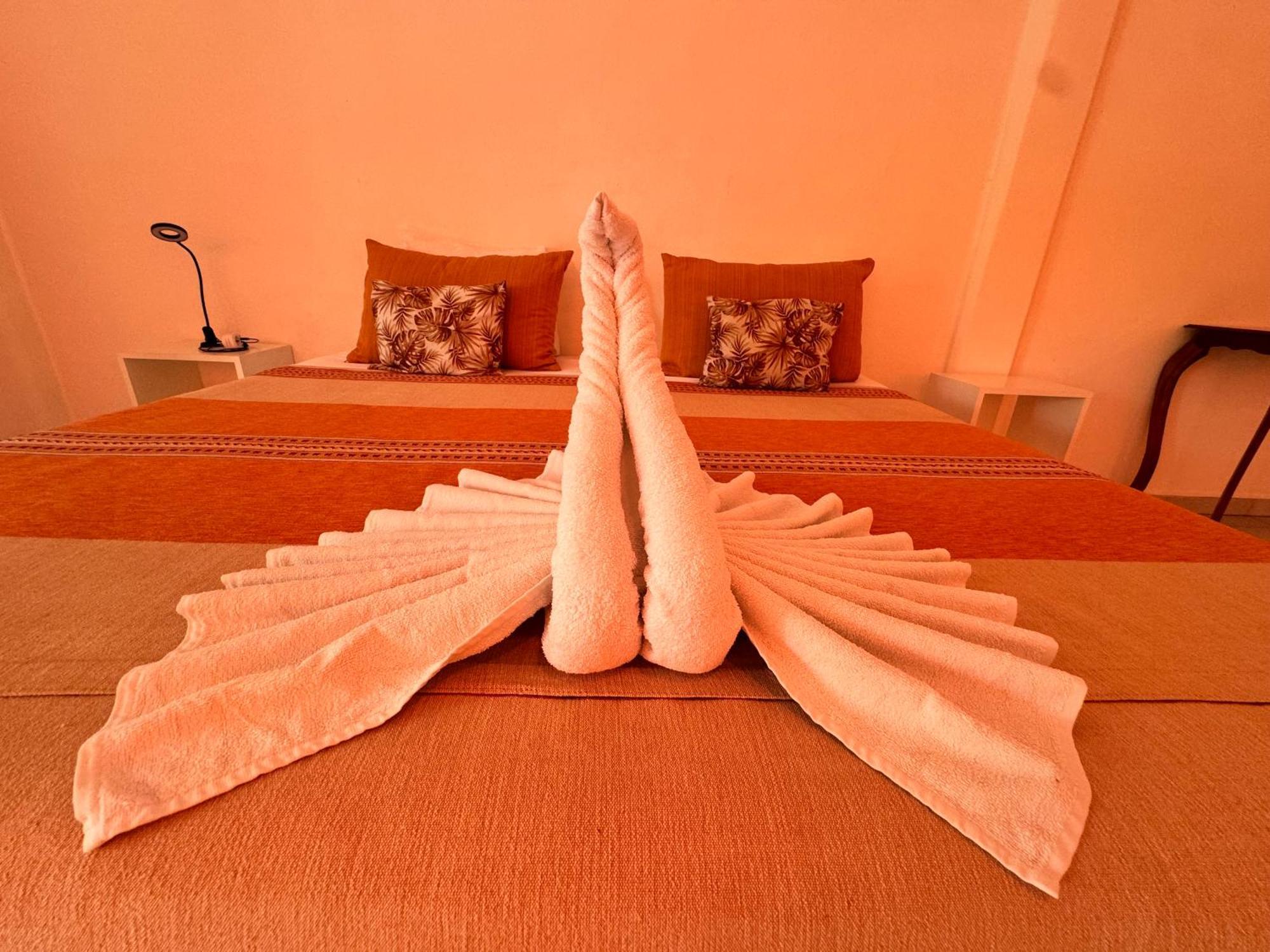 "Vainilla B&B" - Stylish Comfort In بلايا ديل كارمن المظهر الخارجي الصورة