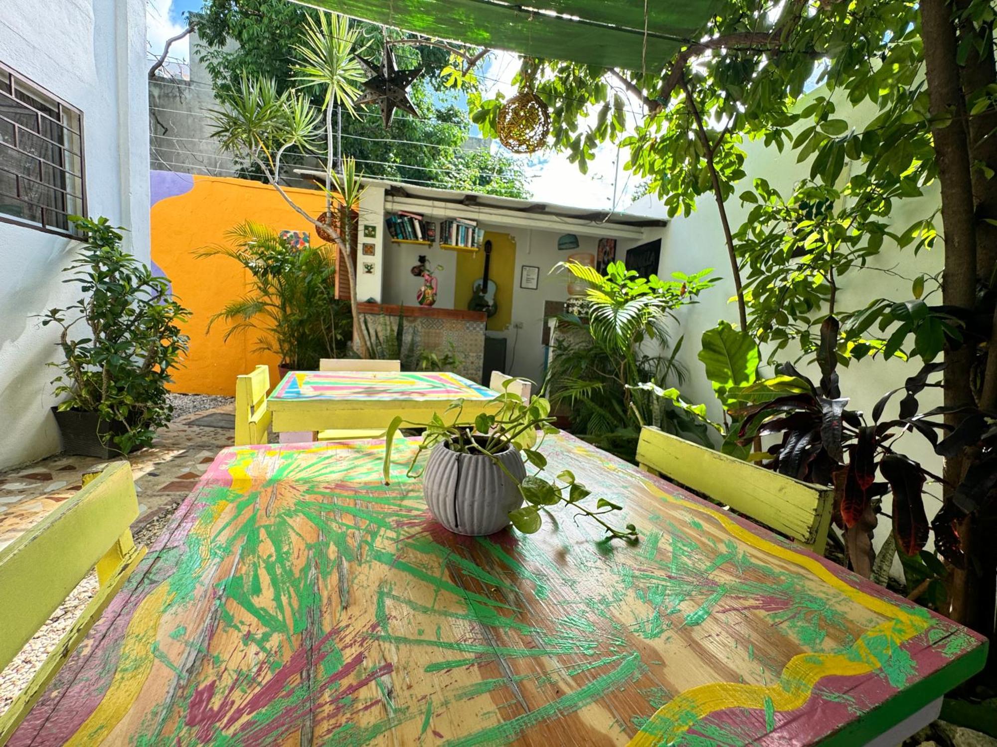"Vainilla B&B" - Stylish Comfort In بلايا ديل كارمن المظهر الخارجي الصورة