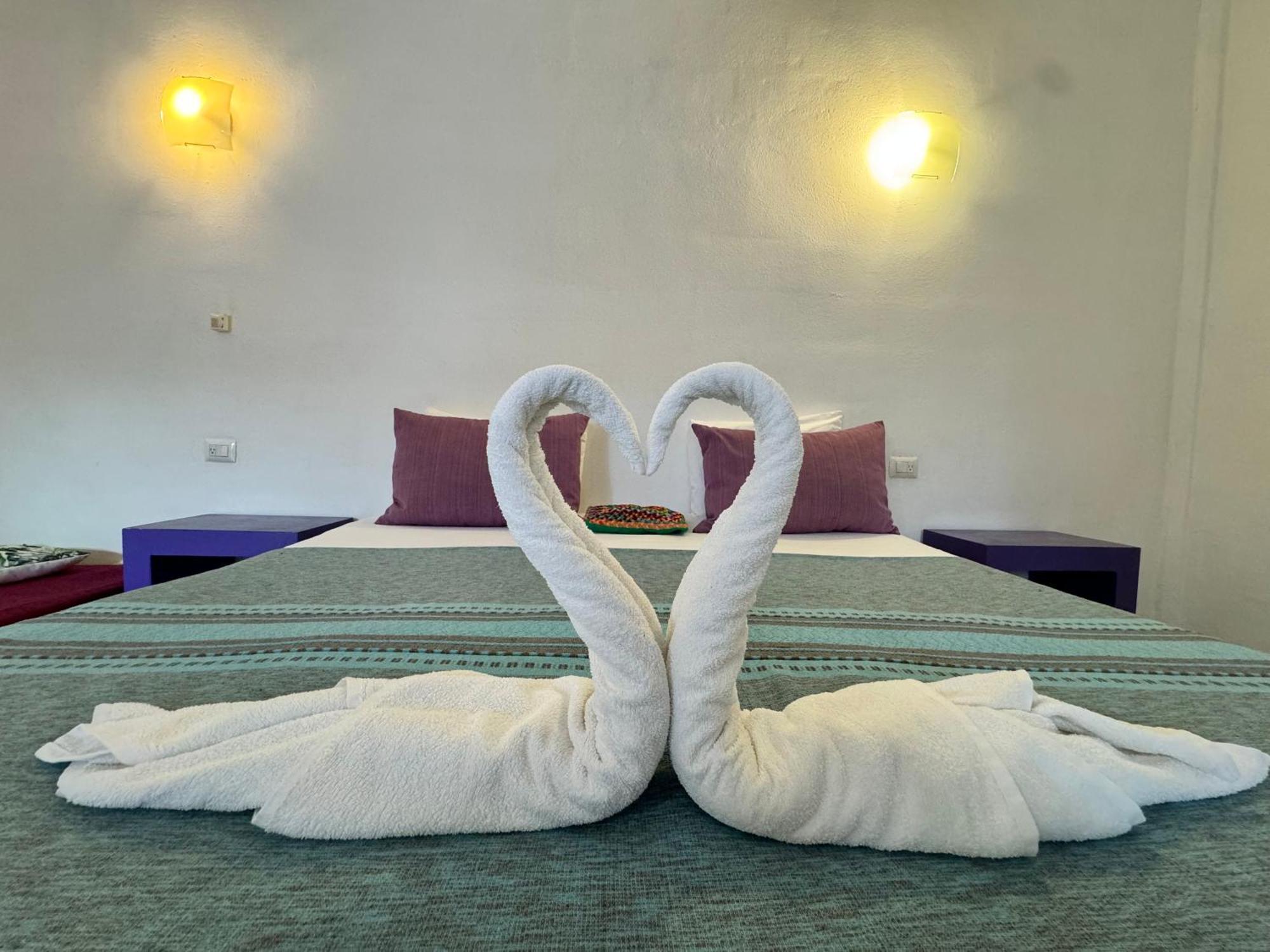 "Vainilla B&B" - Stylish Comfort In بلايا ديل كارمن المظهر الخارجي الصورة