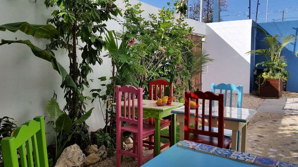 "Vainilla B&B" - Stylish Comfort In بلايا ديل كارمن المظهر الخارجي الصورة