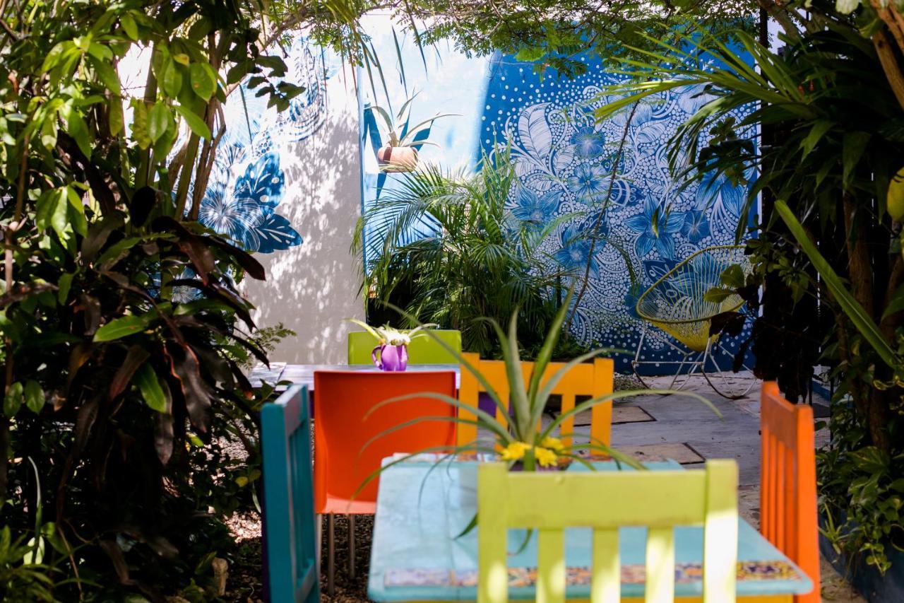 "Vainilla B&B" - Stylish Comfort In بلايا ديل كارمن المظهر الخارجي الصورة